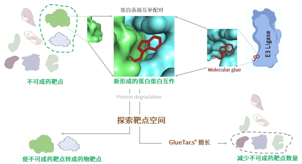 2. 如何设计新一代的分子胶技术？